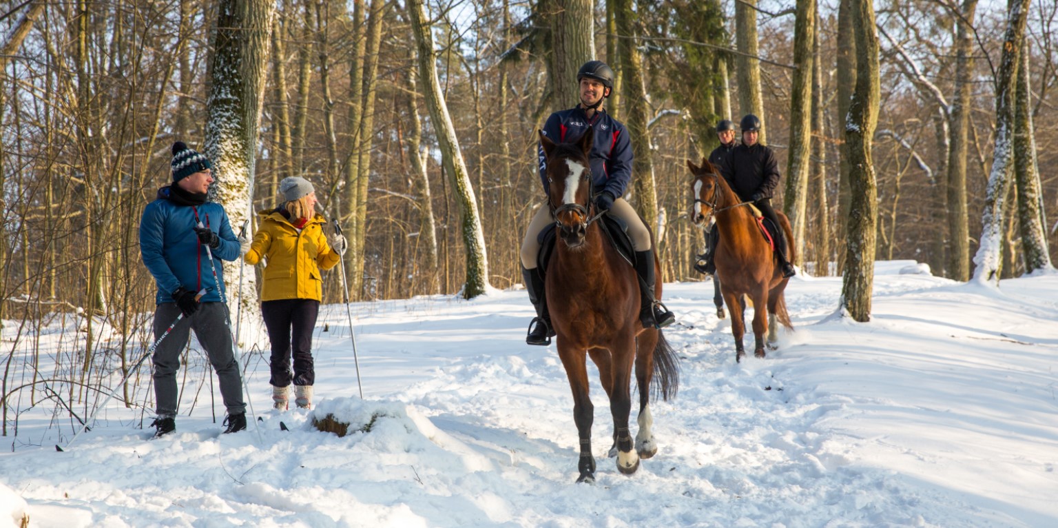 дворец усадьба гостиница ресторан ночлеги апартаменты номера в Польше Мазуры