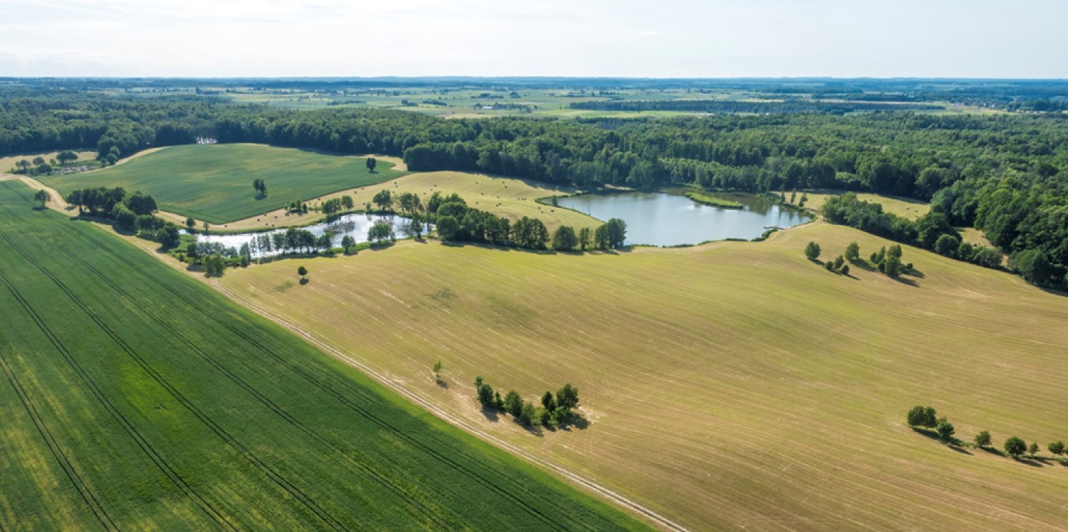 дворец усадьба гостиница ресторан ночлеги апартаменты номера в Польше Мазуры