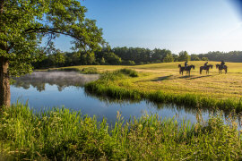 дворец усадьба гостиница ресторан ночлеги апартаменты номера в Польше Мазуры