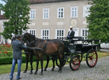 дворец усадьба гостиница ресторан ночлеги апартаменты номера в Польше Мазуры